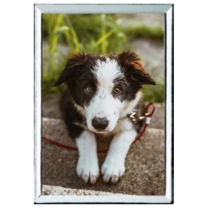 Fotocerámica rectangular de Mascota con marco